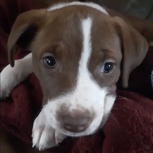 Meet your Posher, Tricia